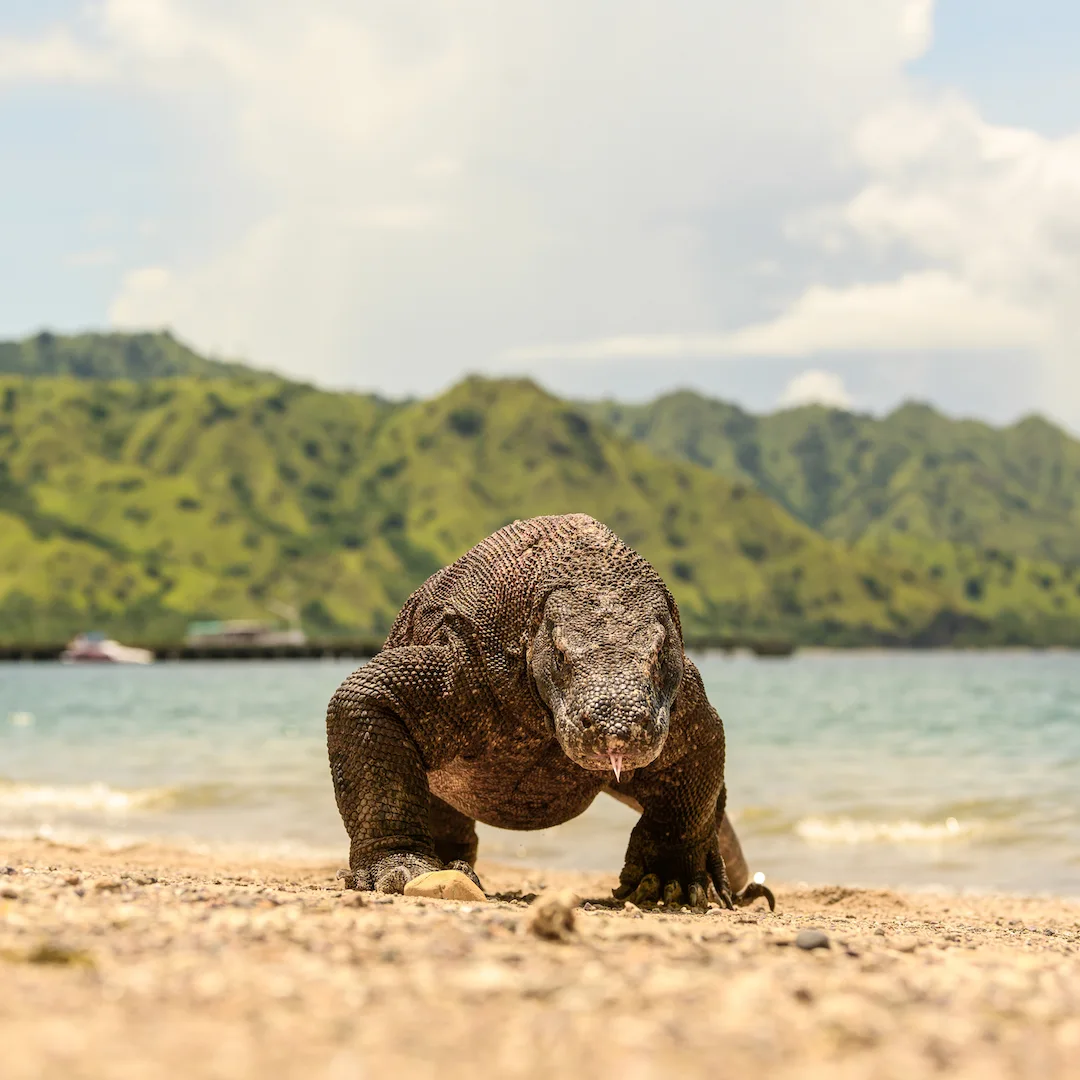 Photography Tour — Capture Your Adventure